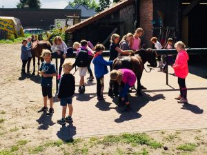 Ferien Hof Reil Pony reiten Wardenburg