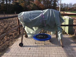 Voltigieren Hof Diana Reil Wardenburg Oldenburg Ponys Reiten lernen