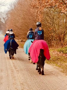 Ausreiten, Hof Reil, Wardenburg bei Oldenburg, ponys reiten lernen
