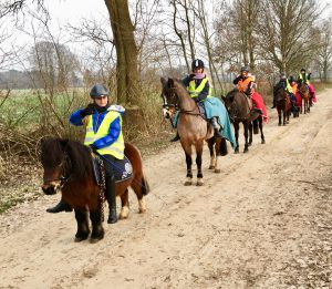 Ausreiten, Hof Reil, Wardenburg bei Oldenburg, ponys reiten lernen