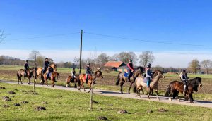 Pony reiten lernen Hof Reil Wardenburg bei Oldenburg