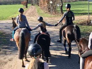 Pony reiten lernen Hof Reil Wardenburg bei Oldenburg