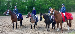 Hof Reil Turnier reiten Ponys reiten lernen Wardenburg bei Oldenburg