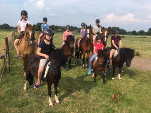 Hof Reil Dressur springen Ponyreiten lernen Wardenburg