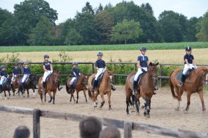 Ponys Pferde reiten lernen  Wardenburg Hof Reil